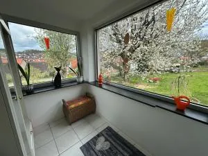 Ferienwohnung Am Kirschbaum Mömlingen - Neustadt