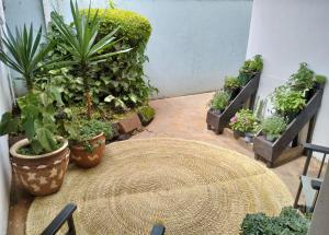Apartment with patio and terrace - near UN Nairobi & Gigiri