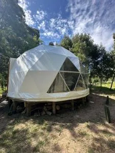 El Domo del ALF La Paz entre el bosque y el mar II - 波特苏埃洛