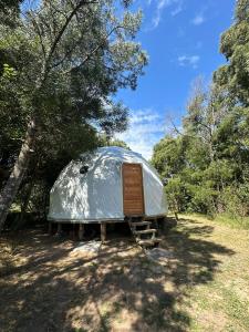 El Domo del ALF La Paz entre el bosque y el mar II