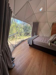 El Domo del ALF La Paz entre el bosque y el mar II