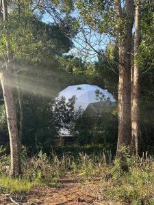 El Domo del ALF La Paz entre el bosque y el mar II