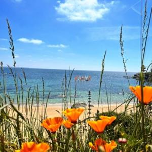 Les Oyats, vue sur mer, parking, GR34