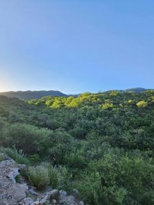 MONTE ZION Apart Colibrí