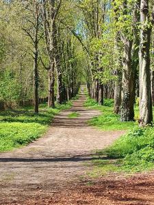 T5 Hyper center lumineux et cosy