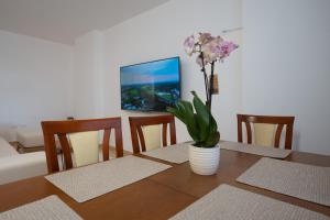 Sea Shell Apartments