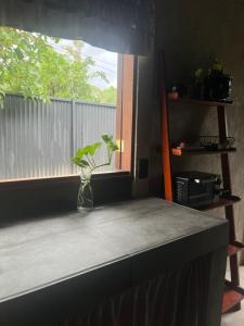 Casa Fénix