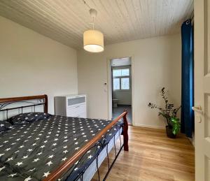 Sunny 2-room apartment with king size bed