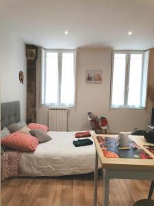 STUDIO Rénové 26 m2 Centre Historique