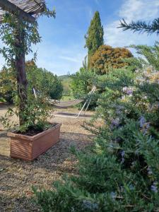 Casa di campagna in Podere