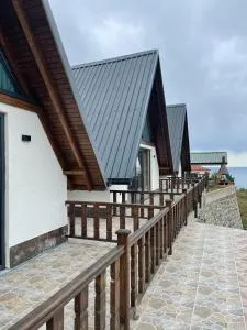 Willa's Trebisonda - Of