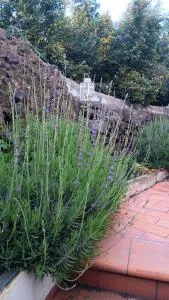 La Casa di Betta - 圣焦万尼拉蓬塔