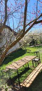 B&B / Chambres d'hotes champagne : photos des chambres