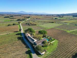 Maisons de vacances Le mas des vignes : photos des chambres