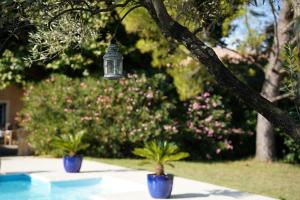 Maisons de vacances Le mas des vignes : photos des chambres