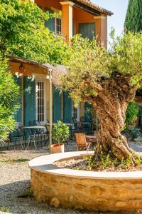 Maisons de vacances Le mas des vignes : photos des chambres
