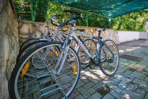 Villa Brigita, a beautiful villa close to the beach