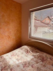 Apartment Silence B