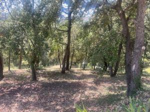 Villas Beautiful 4 bedroom villa with pool, jacuzzi : photos des chambres