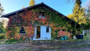 Designer House with Breathtaking View