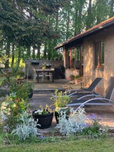 RIA Spa sauna, jacuzzi