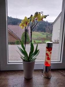 schickes gemütliches Studio