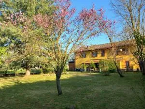 La Casa di Gio ed Eli - Casalnoceto