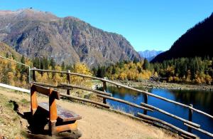 Ortensia casa vacanze