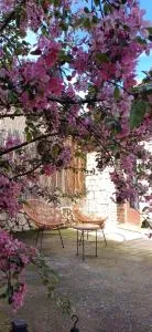 Apartamento Bajo Los Arcos - Concud