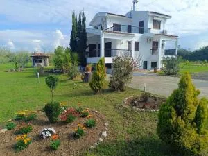 Gaia Olives Villa - 索佐波尔