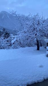 Chalets Les 3 flocons : photos des chambres