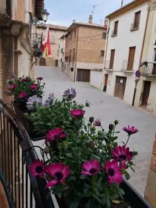 Casa Arqueña - Lorca