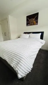 Cozy ensuite room in City Centre - Tollcross