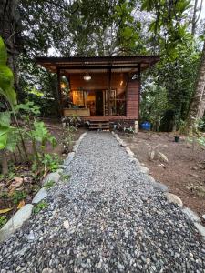 New Premium Jungle Cabin