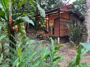 New Premium Jungle Cabin