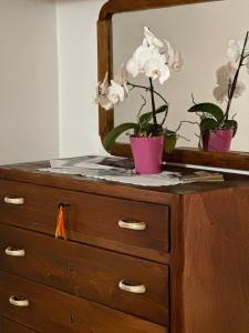 B&B castelboccione stanza gialla condivisa