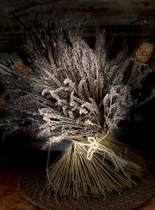 B&B / Chambres d'hotes B&B Le Niaouli : Chambre Double - Vue sur Jardin