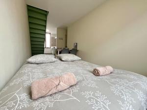 Appartements Duplex renove a 15 min de Lyon : photos des chambres