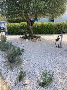 Meraki Mou My pride and care