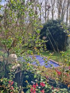 Propriété bucolique avec deux maisons, une piscine chauffée et un vaste verger