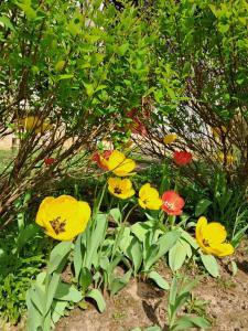 Propriété bucolique avec deux maisons, une piscine chauffée et un vaste verger
