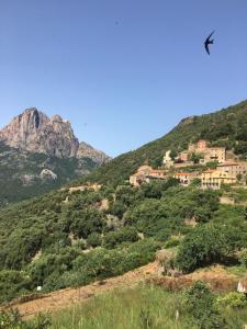 Appartements Peaceful haven in Corsica : photos des chambres