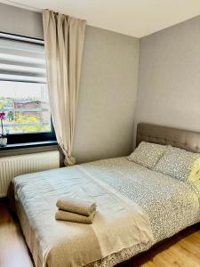 Apartamenty Poziom 4, Prywatna łazienka, Wspólna toaleta, Free wi-fi, Free Parking