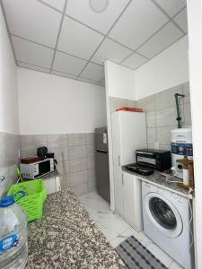 Departamento zona centro 2