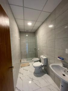 Departamento zona centro 2