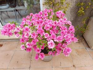 Maisons d'hotes Entre vignes & Piano Caudalie chambre d-hotes : photos des chambres
