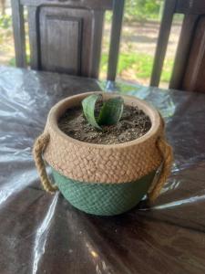 Chalé Paraíso Corumbau-Ba com Wi-Fi a poucos passos do mar, com Ar Condicionado