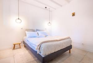 Maisons de vacances Duplex SPA & Detente en Hyper-Centre avec Parking Prive : photos des chambres