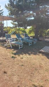 Maisons de vacances Gite de la deveze cosy et nature : photos des chambres