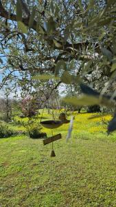 Agriturismo CarpinoNero